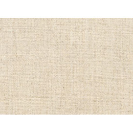 Холст светлый Канвас (Canvas)  L517, 210х100 см